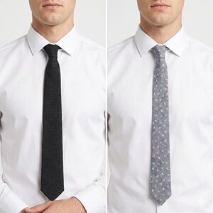 Set of 2 J.Crew Neck Ties